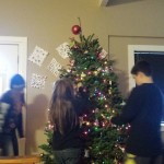 setting up the tree